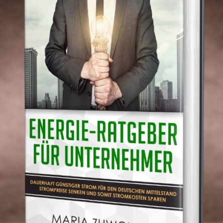 Energie-Ratgeber für mittelständische Unternehmer